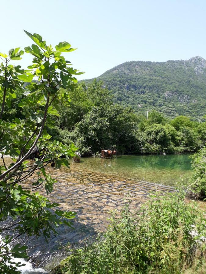 Hotel Camp Sunny Hills Virpazar Zewnętrze zdjęcie