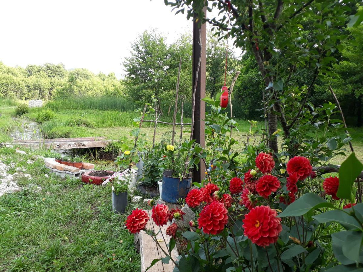 Hotel Camp Sunny Hills Virpazar Zewnętrze zdjęcie
