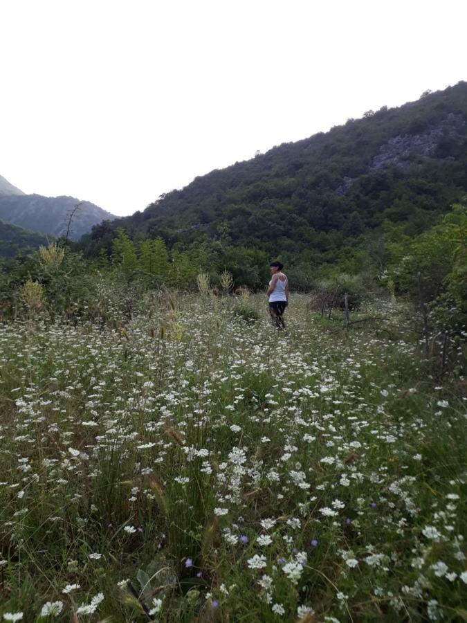 Hotel Camp Sunny Hills Virpazar Zewnętrze zdjęcie